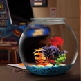 thumbnail image 5 of Bol de Poisson en Plastique Résistant à la Rupture de 2,1 Gallons, 5 of 5