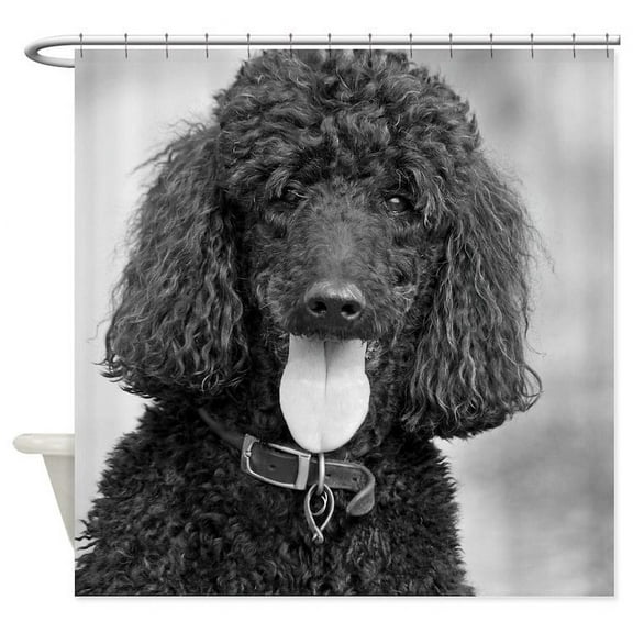 CafePress - Black Poodle - Unique Fabric Shower Curtain 70" x 72"