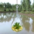 thumbnail image 2 of Glass Hanging Planter Decorative Air Plant Terrarium Glass Flower Pot for Home, 2 of 6