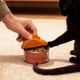 thumbnail image 5 of Tapas para latas de comida, tapas lavables de silicona para latas de tamaño estándar y latas para gatos, con cierre hermético para almacenar alimentos, incluye cuchara (8 estilos), 5 of 6