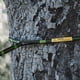 thumbnail image 4 of Correas para Hamaca Wise Owl Outfitters de 3 metros con Mosquetones y 38 Anillas, 4 of 9