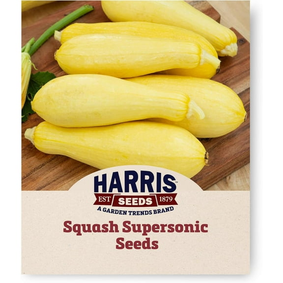 Harris Seeds - Treated Squash Supersonic Yellow F1 Straightneck Summer - 250 Seeds