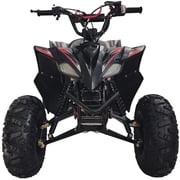 HHH Sports ATV 125cc ATV Platinum ATV CT 125-C is Fully Automatic Vitacci 125cc ATV with Reverse and Strong Tires and Matching Rims (Blue Color)
