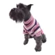 thumbnail image 1 of Suéter Punto Rosa Perro Rayas Ligero Talla 0 Pet Pals, 1 of 1