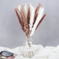 thumbnail image 4 of HEVIRGO 15Pcs/Bundle Small Pampas Grass Ornamental Desktop Decor Dried Flower Birthday Party Artificial Reed Bouquet for Garden(Red ), 4 of 10
