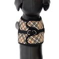 thumbnail image 2 of RC Pet Products 65403069-RC Step-in Cirque Dog Harness, Tan Tartan - Small, 2 of 3
