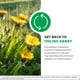 thumbnail image 3 of Tintura NutraMedix Dandelion Detox, 60 ml, ayuda a la salud del hígado, 3 of 8