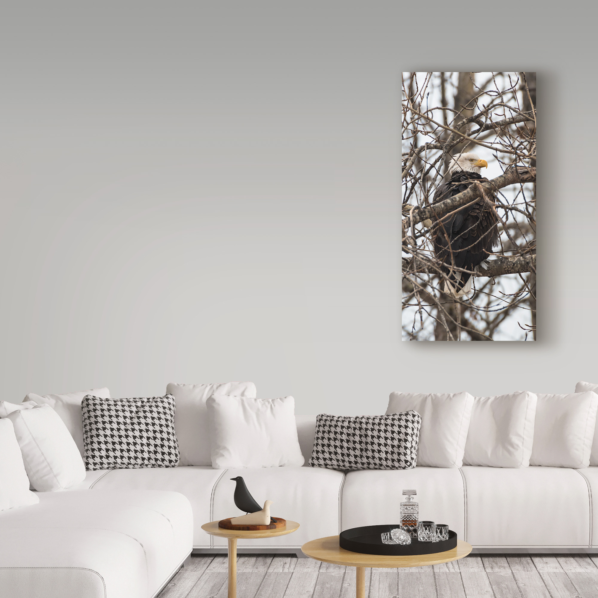 Trademark Fine Art 'Bald Eagle And Trees' Canvas Art by Brenda Petrella Photography Llc