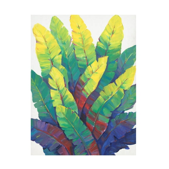 Tim OToole 'Sunlit Banana Leaves I' Canvas Art