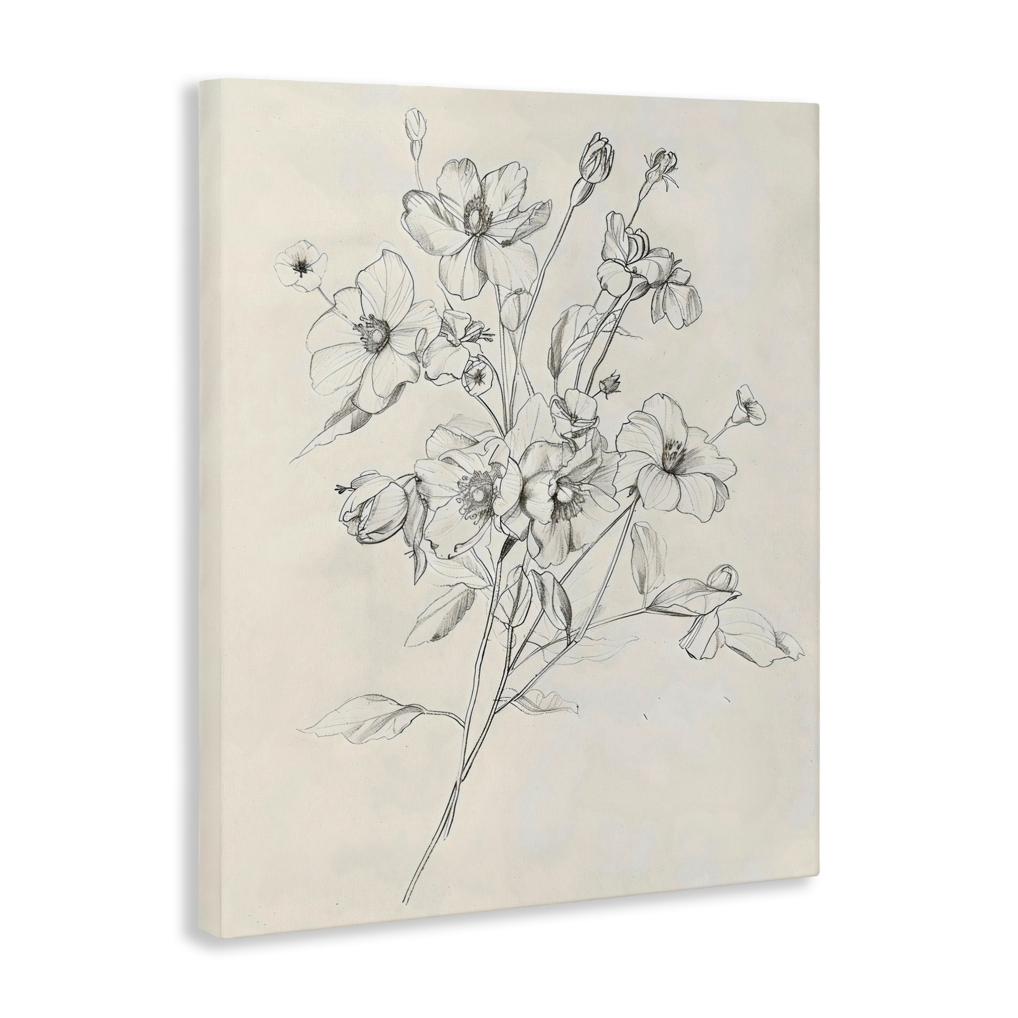 Stupell Industries Wildflower Outline Study Canvas Wall Art, design by Creative Studio