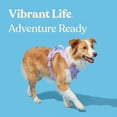 thumbnail image 2 of Vibrant Life Neoprene Comfort Control Dog Harness, Lavender, Large, 2 of 9