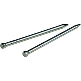 Hillman 16 Ga. X 1-1/2 in. L Galvanized Steel Brad Nails 1 pk 1.5 oz Hillman 16 Ga. X 1-1/2 in. L Galvanized Steel Brad Nails 1 pk 1.5 oz