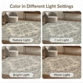 thumbnail image 7 of ODIKA 6'x9' Ultra-Soft Area Rug, Vintage Distressed Border Faded Interlocking Motifs Abstract Flowing Dynamic None Washable, Bare feet friendly, Silk-Touch for Guest Room, Bedroom, 7 of 7