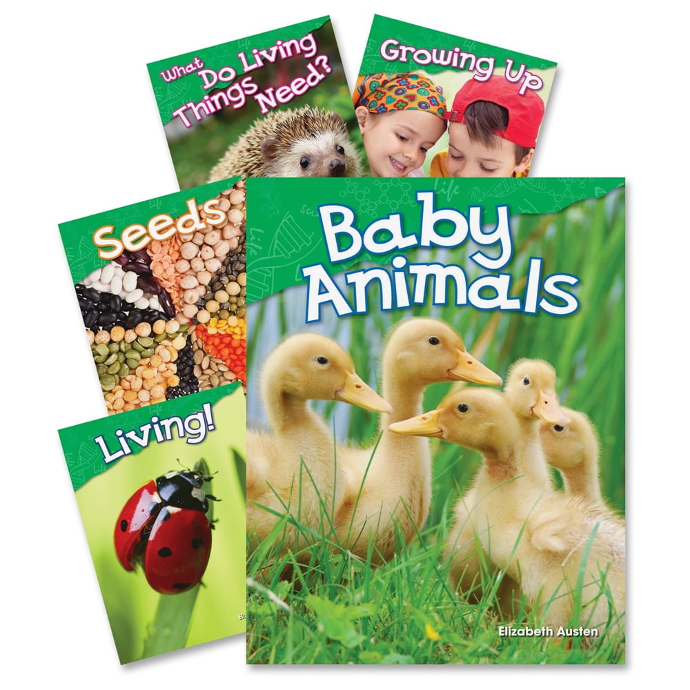 Shell Kindergarten Life Science Book Set Education Printed Book for