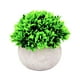 thumbnail image 1 of Mini plantas artificiales en maceta, pequeñas plantas de interior y exterior de nuestra tienda online. Beige b, 1 of 7