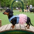 thumbnail image 6 of Pet Dog Cat Striped Dress • Cute Princess Skirt • Soft Breathable Summer Outfit • Lightweight Pullover Pet Apparel • Fashion Clothes for Small Pets, 6 of 6
