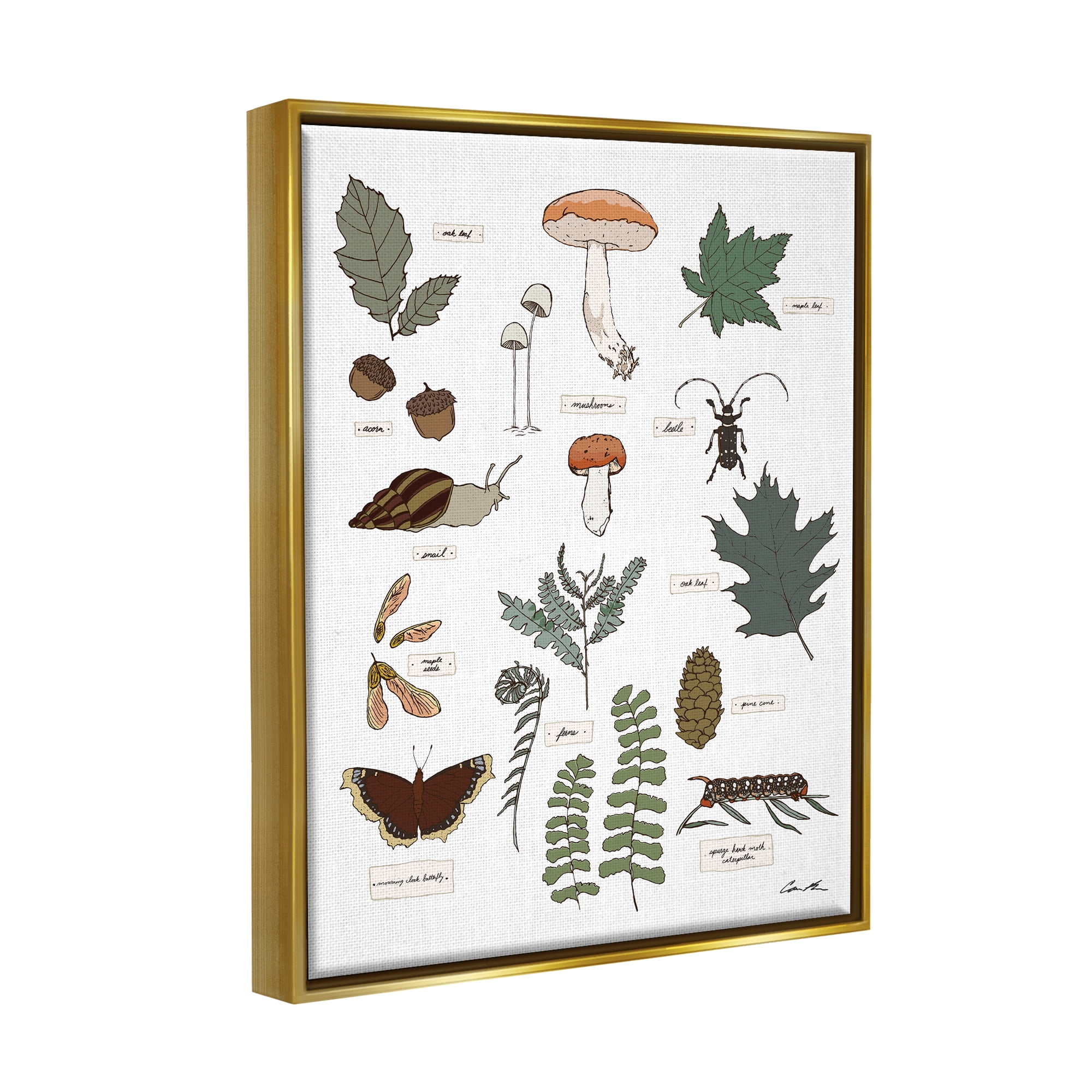 Stupell Industries Woodland Nature Studies Botanical & Floral Painting Gold Floater Framed Art Print Wall Art, 25 x 31