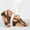 Brown, variant on Sandals for Women Women Summer Round Toe Ladies Beach Thick Bottom Sandals Boho Casual Women's Wedges Shoes