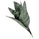 thumbnail image 4 of GOOHOCHY Suculenta artificial falsa, planta artificial, adorno para oficina y hogar., 4 of 7