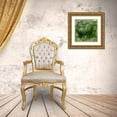 thumbnail image 3 of Ludwig, Alicia 20x20 Gold Ornate Wood Framed with Double Matting Museum Art Print Titled - Pangaea I, 3 of 4