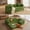 Green, variant on XIZZI 80.5" Convertible Sleeper Sofa Bed, Cloud Boneless Couch with Plush Corduroy, Sturdy Sprung Support, Oversize Comfy Loveseat for Living Room Bedroom, Black