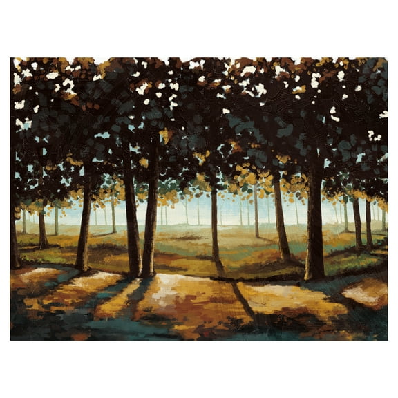 Dynamic Light Landscape by Willowbrook Fine Art Canvas Art Print