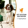 thumbnail image 3 of (4 pack) Nature’s Miracle Oxy Formula Set-In Stain Destroyer for Dogs, Orange Scent, 24 oz, 3 of 10