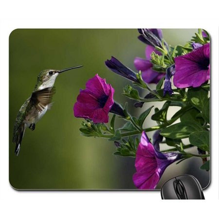 POPCreation Humming Bird and Purple Flowers Mouse pads Gaming Mouse Pad 9.84x7.87 inches