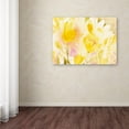 thumbnail image 4 of Trademark Fine Art "Yellow Gardens" Canvas Wall Art by Sheila Golden, 4 of 4