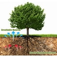 thumbnail image 4 of Triani 4 Pack Non-Woven Tree Mulch Ring Round Weed Barrier Mat 24.4 Inch Reusable Tree Mulch Ring Non Woven Landscape Fabric Degradable Mulch for Landscaping Garden Bed, 4 of 7