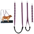 thumbnail image 1 of Set de correas para el ombligo y trabillas para el cuidado del perro FURSDOLY, ajustables, morado, 1 of 8
