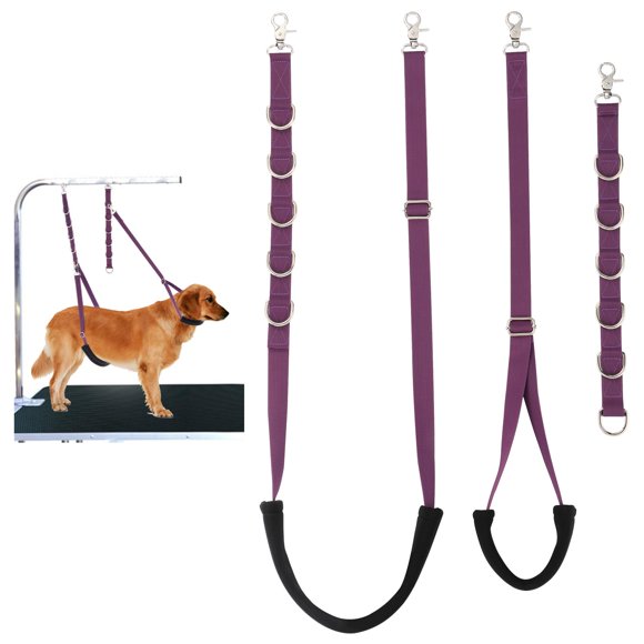 Set de correas para el ombligo y trabillas para el cuidado del perro FURSDOLY, ajustables, morado