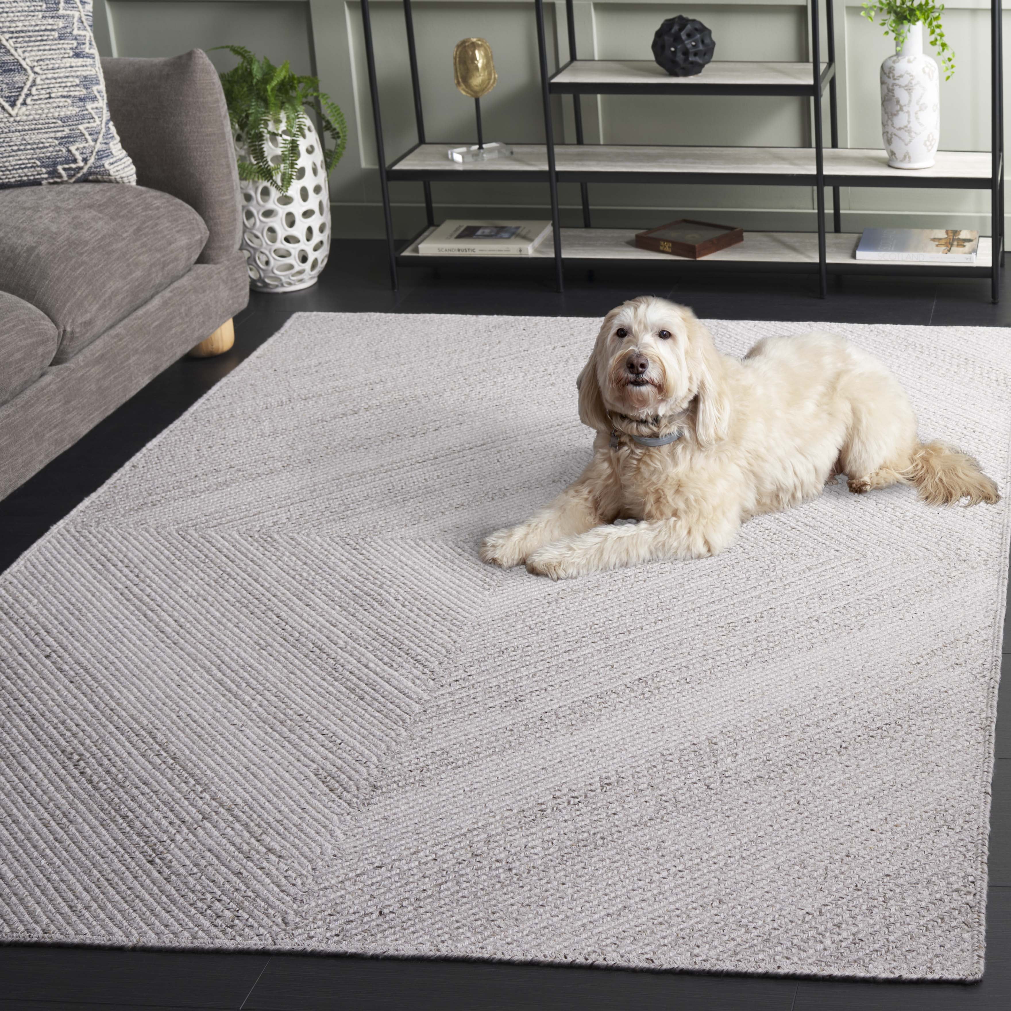 SAFAVIEH Braided Carleen Geometric Area Rug, Beige, 3' x 5'