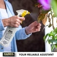 thumbnail image 5 of Harris Pro Trigger Sprayer Empty Bottles with Sprayer 32 oz. (4 Pack), 5 of 7