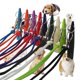 thumbnail image 2 of Portable Pet Training Whistle With Lanyard Pet Supplies For Dogs Horses Sheep Pigeons He Qiyong unisex, 2 of 2
