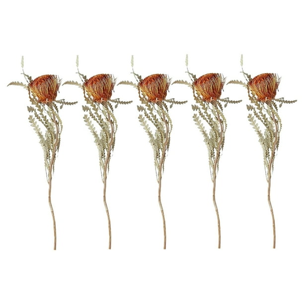 Ramo Seco,Ramos de boda de florero de otoño natural de flores secas,Flores secas naturales resina para hacer velas reales,flores secas para arreglos decoraciones de habitaciones hogar,DIY