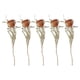 thumbnail image 1 of Ramo Seco,Ramos de boda de florero de otoño natural de flores secas,Flores secas naturales resina para hacer velas reales,flores secas para arreglos decoraciones de habitaciones hogar,DIY, 1 of 6