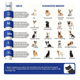 thumbnail image 2 of Collar Inflable Con Isabelino A Prueba Mordidas P/perro Gato Xtellar azul, 2 of 4