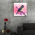 thumbnail image 5 of Epic Art 'Spring Bird 3A' by Ata Alishahi, Acrylic Glass Wall Art, 24"x24", 5 of 8