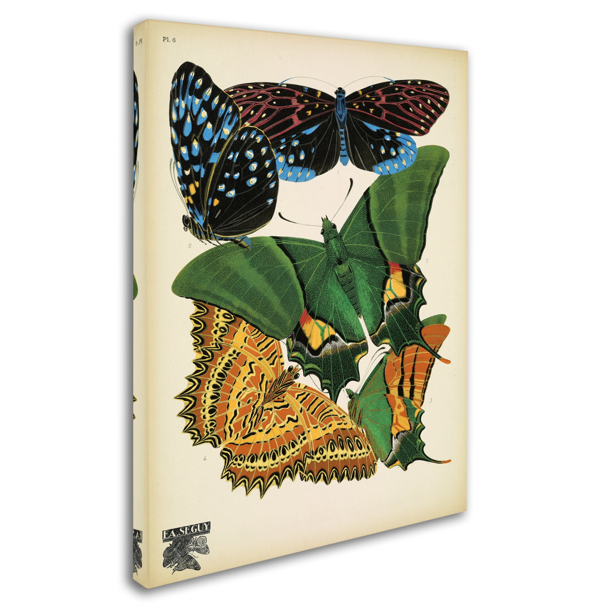 Vintage Apple Collection 'Papillons 6' Canvas Art