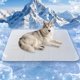 thumbnail image 1 of Alfombra refrescante para perros GooCare 117 cm x 91 cm – Grande, 1 of 9