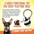 thumbnail image 3 of Scoochie Pet Products Super Scooch Squeaker Bear Rope Tug Dog Toy, Large, 9-Inch, 3 of 5