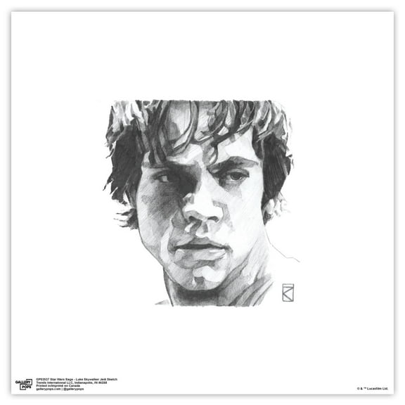 Gallery Pops Star Wars: Saga - Luke Skywalker Jedi Sketch Wall Art, Unframed Version, 12" x 12"