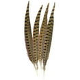 thumbnail image 2 of Touch Of Nature Ringneck Pheasant Feathers 4/Pkg-Natural, 2 of 2