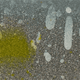 thumbnail image 5 of Strike King Chick Magnet Flat Sided Crankbait Sexy Shad 2.0 Hard Bait Fishing Lure, 5 of 8