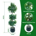 thumbnail image 4 of 4 Ft Artificial Laurel Tree, Triple Ball Topiary Potted Plant with Realistic Moss & UV Protection, for Indoor and Outdoor Decor in Living Room, Patio, or Entryway, 4 of 7