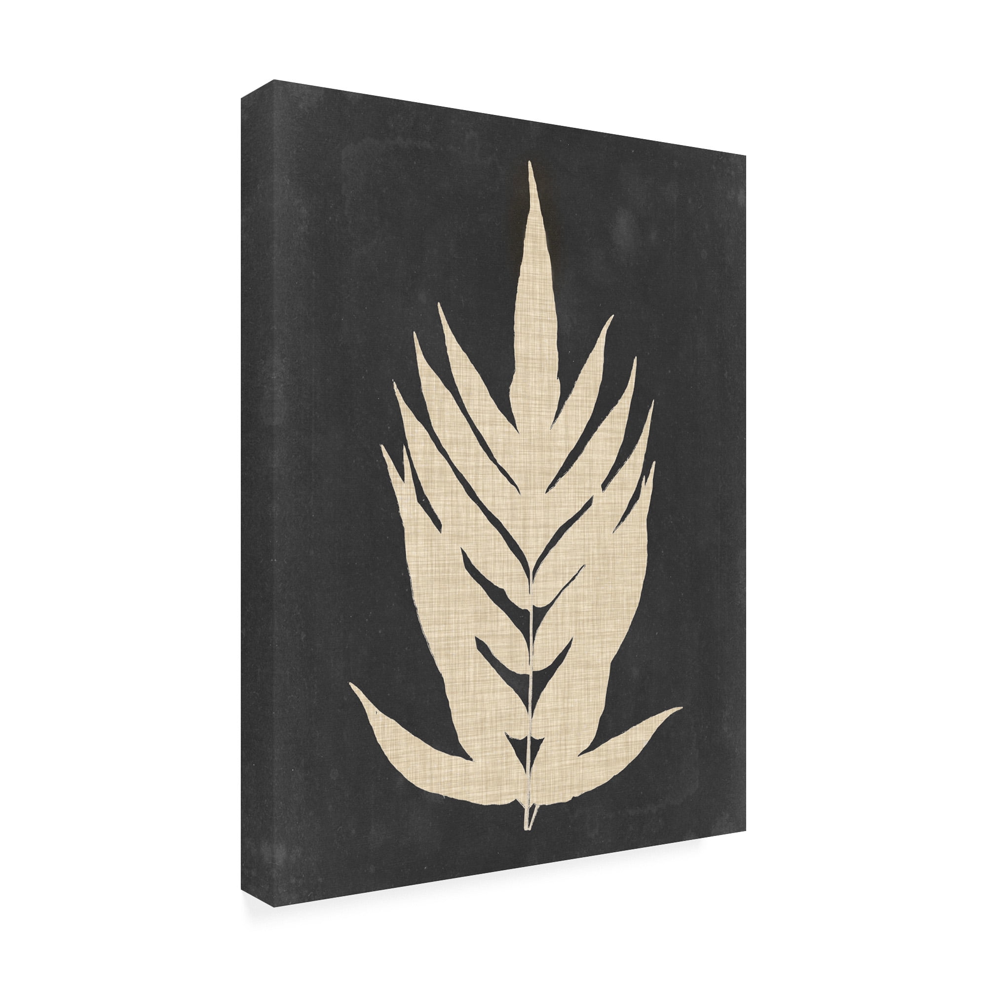 Trademark Fine Art 'Linen Fern II' Canvas Art by Vision Studio