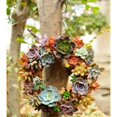 thumbnail image 2 of Iron Wire Wreath Succulent Pot Metal Hanging Planter Plant Holder, 2 of 9