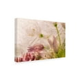 thumbnail image 4 of Trademark Fine Art Giuseppe Satriani Glacial Rose Canvas Wall Art, 4 of 4