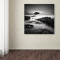 thumbnail image 3 of Trademark Fine Art "Tree Of Temptation" Canvas Art by Rob Cherry, 3 of 3